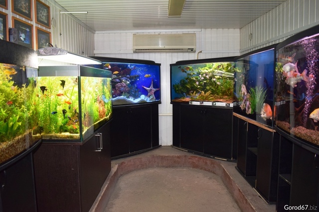 Смоленский аквариум. Выставочный павильон